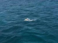Me swimming 2